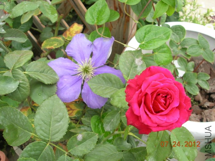 DSCN4943.jpg