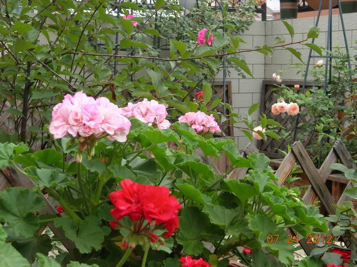 DSCN4958.jpg
