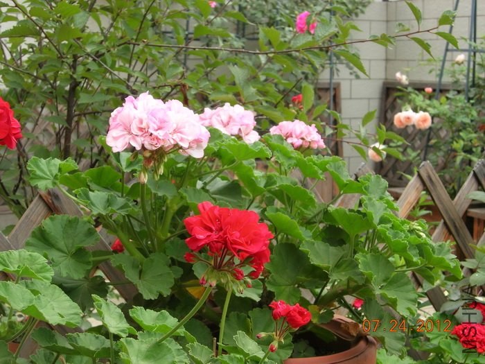 DSCN4959.jpg
