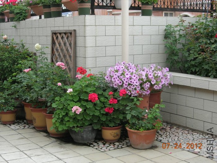 DSCN4965.jpg