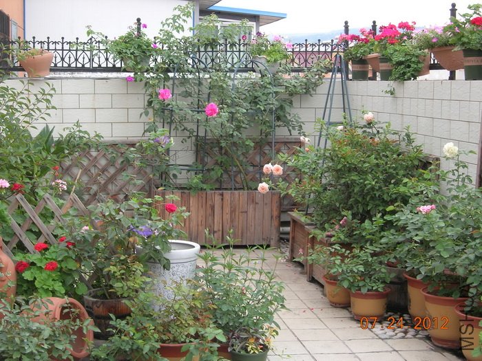 DSCN4966.jpg