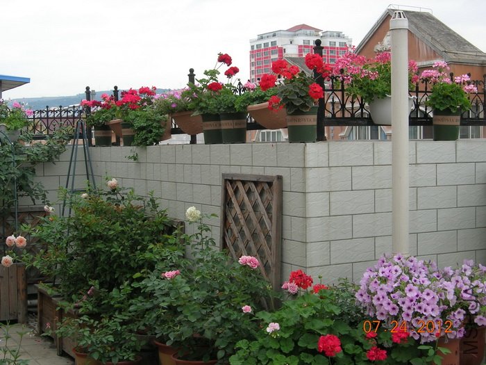DSCN4967.jpg