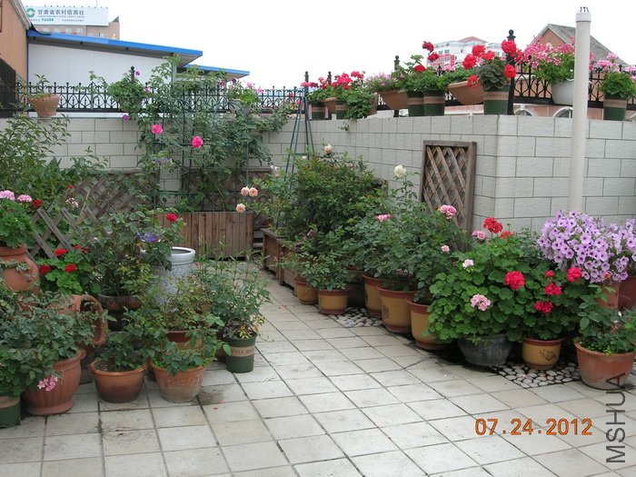 DSCN4968.jpg