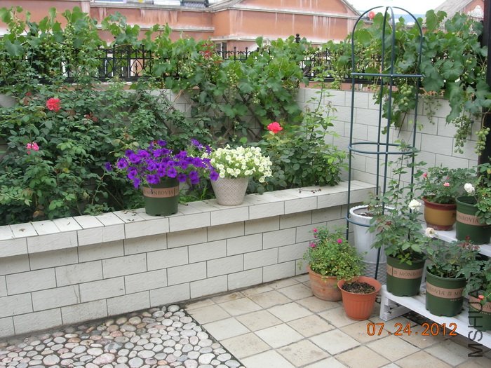 DSCN4971.jpg