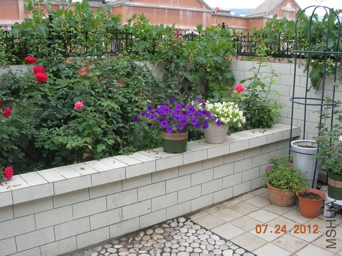DSCN4972.jpg