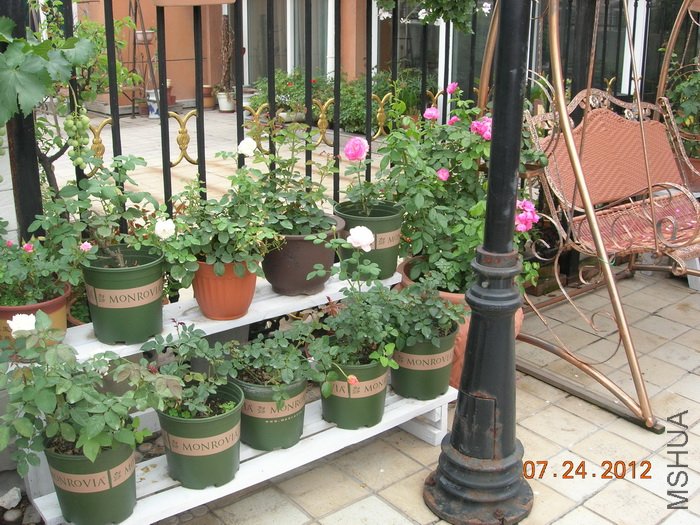 DSCN4973.jpg