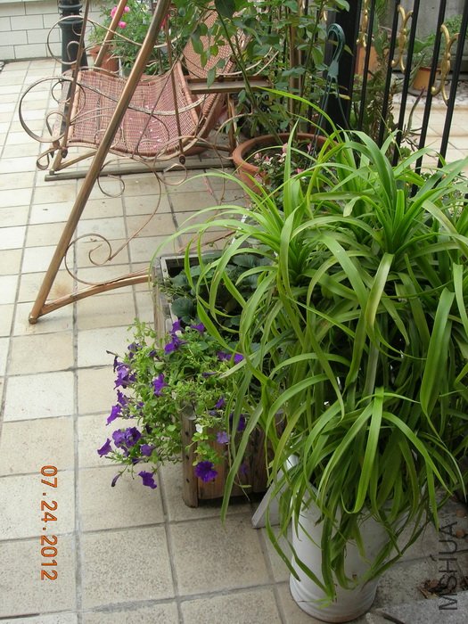 DSCN4976.jpg