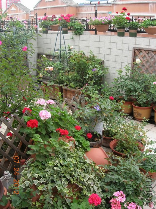DSCN4978.jpg