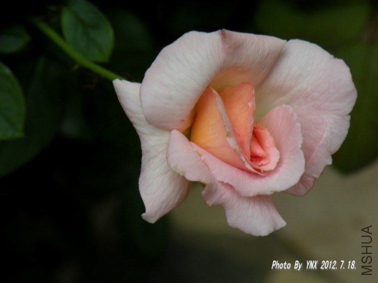 2012.7.18. 046_conew1.jpg