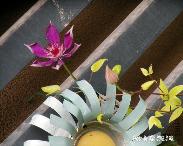 2012.7.18. 026_conew1.jpg