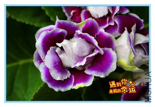 ��Ƭ 023_����.jpg