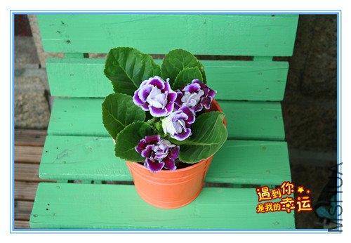 ��Ƭ 026_����.jpg