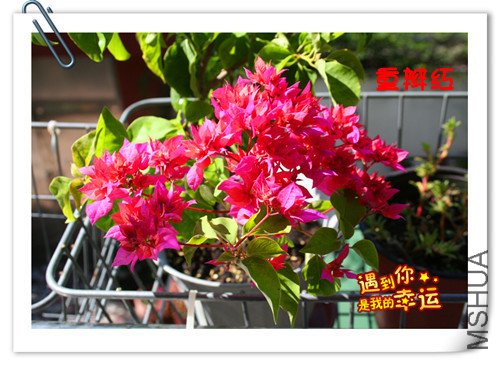 ��Ƭ 028_����.jpg