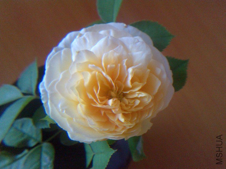 201207243094.jpg