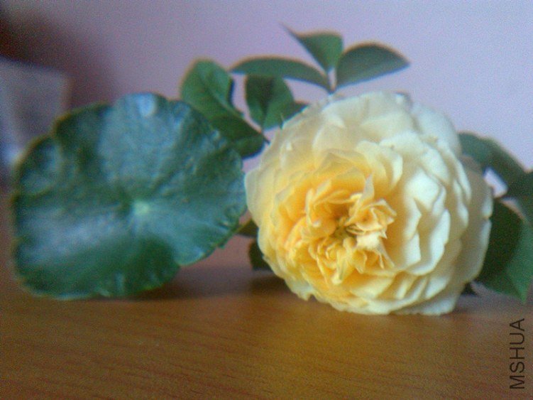 201207243088.jpg