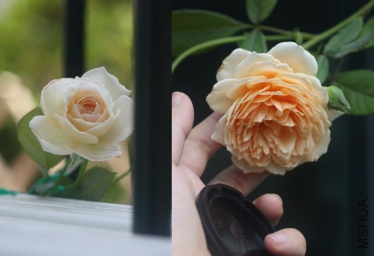 ��������ұ�����