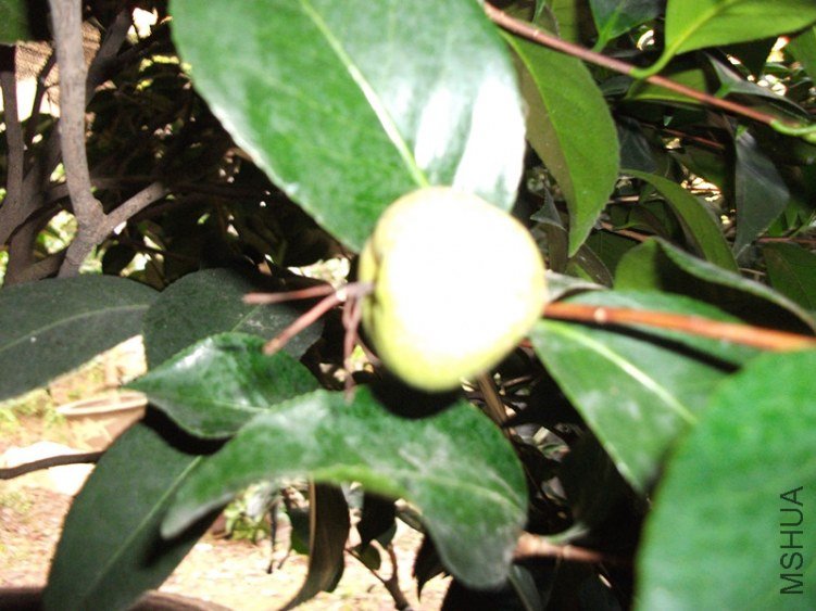 DSCF5157_����.jpg