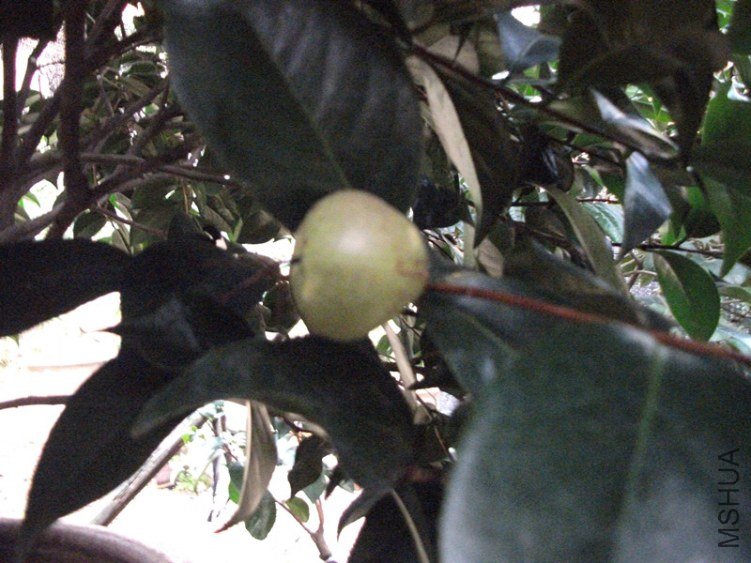 DSCF5159_����.jpg