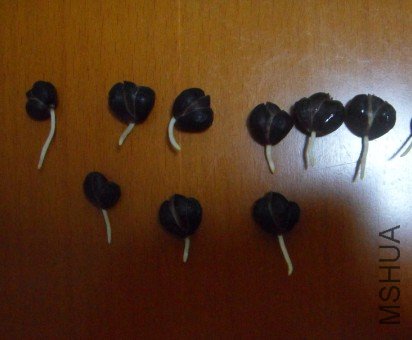 QQ��ͼ20120724193655.jpg