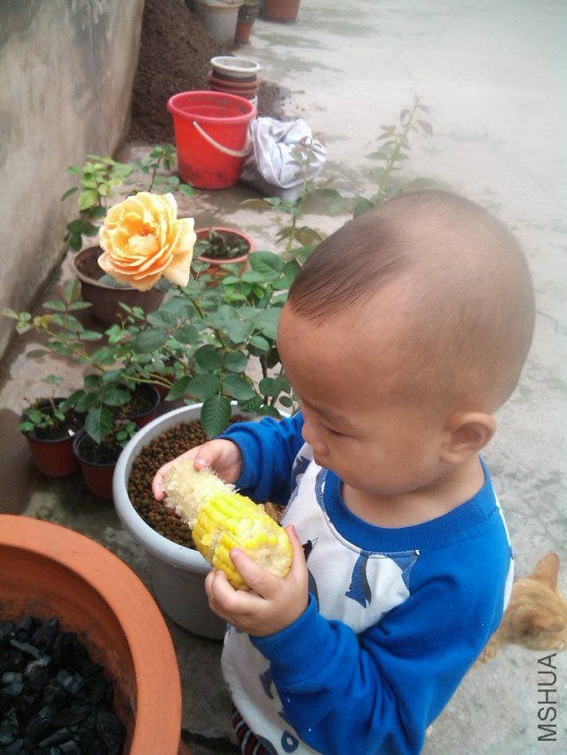 IMG_20120717_122933.jpg