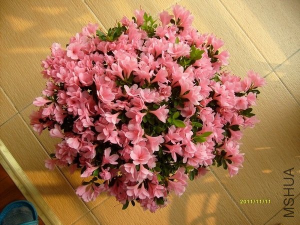 ���ǽ��괺��ǰ���