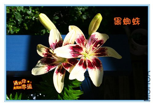 ��Ƭ 094_����.jpg