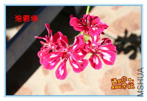 ��Ƭ 056_����.jpg