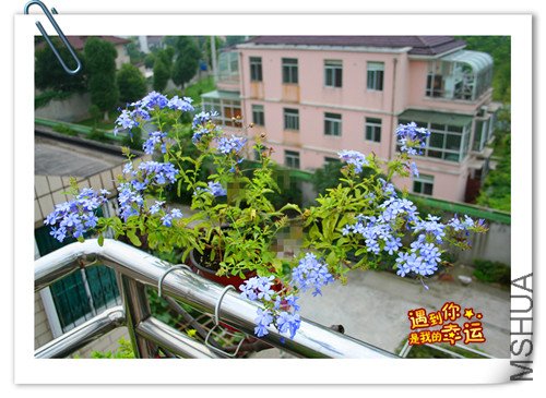 ��Ƭ 037_����.jpg