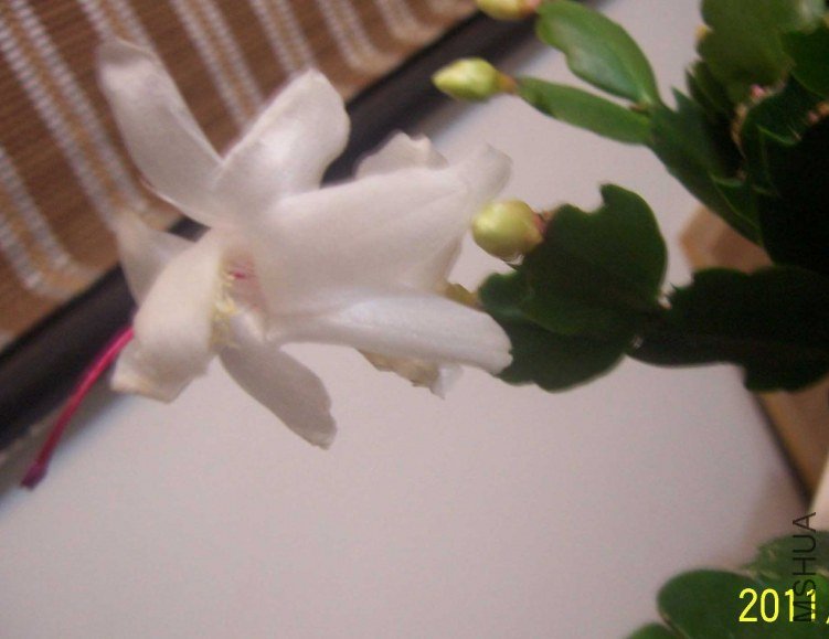 100_6787.JPG