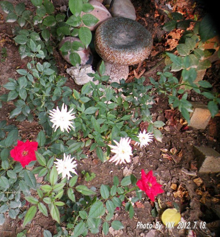 2012.7.18. 054_conew1.jpg