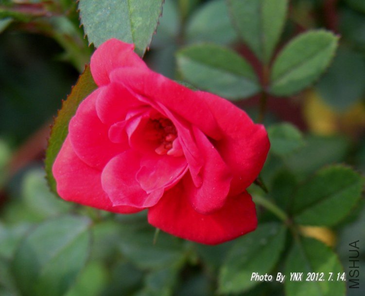 2012.7.14. 027_conew1.jpg