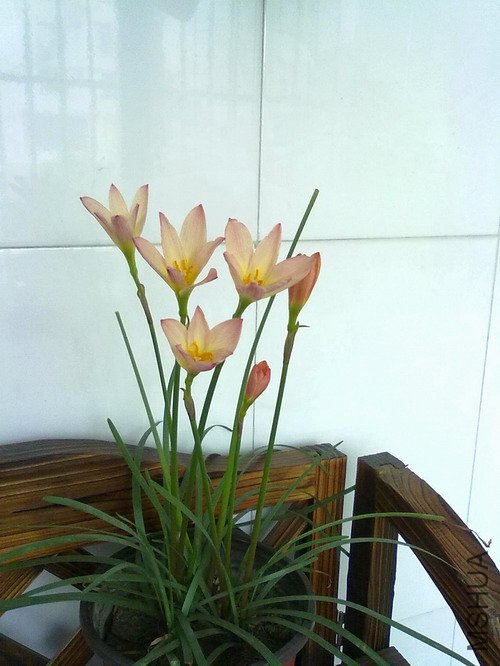 201207021556.jpg