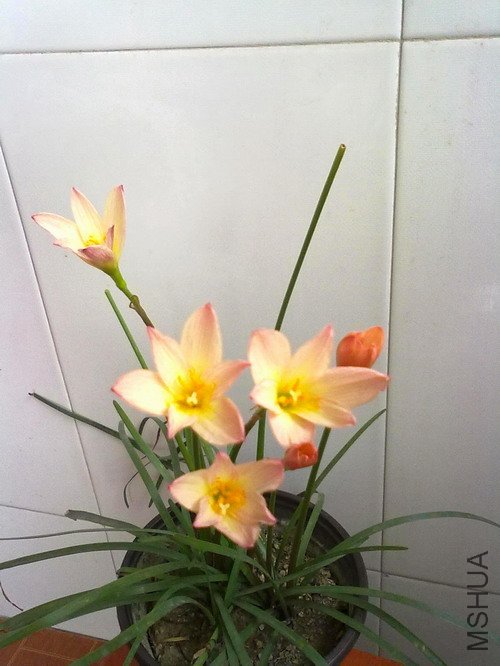 201207021560.jpg