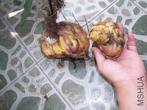 2012.7.26 001.jpg