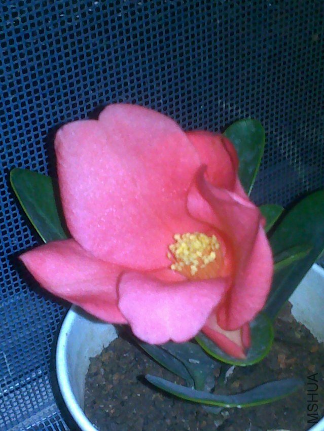 20120726856.jpg