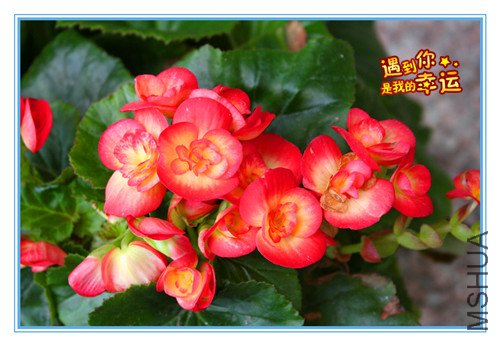 ��Ƭ 038_����.jpg