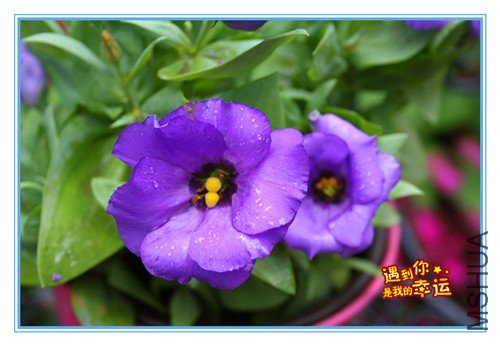 ��Ƭ 040_����.jpg