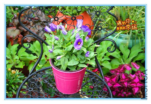 ��Ƭ 038_����.jpg