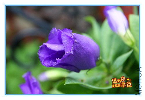 ��Ƭ 041_����.jpg