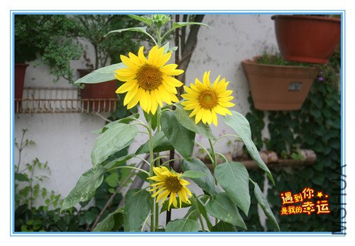 ��Ƭ 088_����.jpg