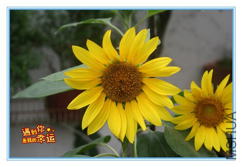 ��Ƭ 091_����.jpg