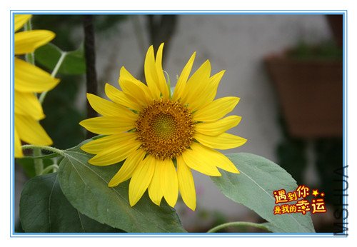 ��Ƭ 092_����.jpg