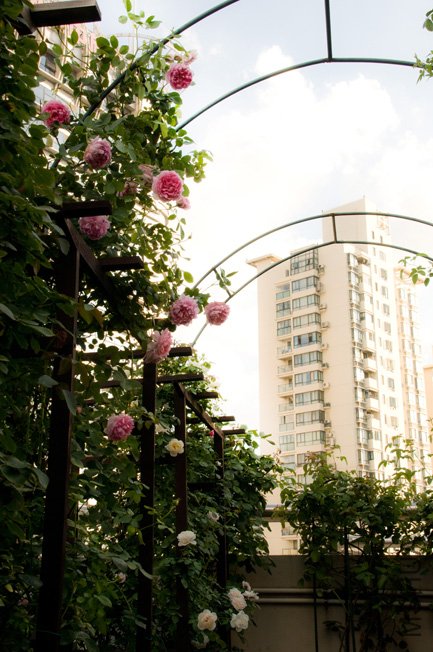 DSC_0007c.jpg