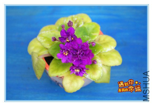 ��Ƭ 150_������4.jpg