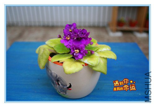 ��Ƭ 148_������3.jpg