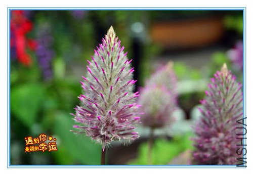 ��Ƭ 137_����.jpg