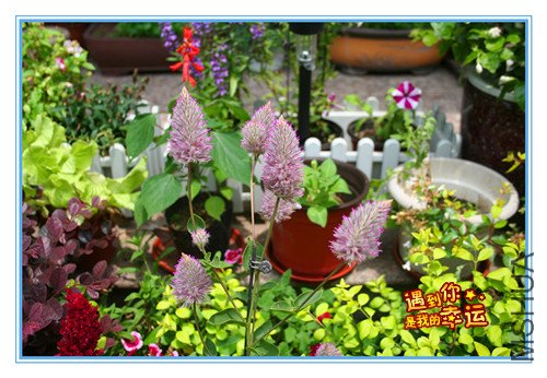 ��Ƭ 134_����.jpg