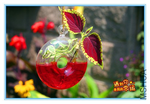 ��Ƭ 032_����.jpg