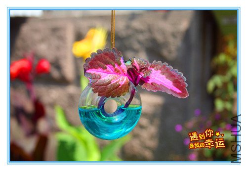 ��Ƭ 033_����.jpg