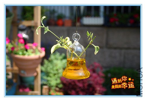 ��Ƭ 034_����.jpg